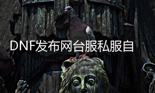 DNF发布网台服私服本身改兵器（DNF发布网台服修改器）