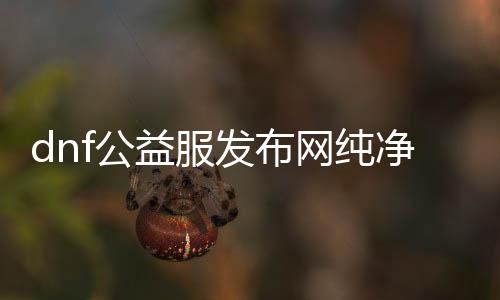 dnf公益服发布网纯净客户端下载,纯净版dnf公益服发布网那边下载