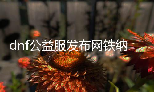 dnf公益服发布网铁纳（铁纳在DNF公益服发布网中的浸染详解）