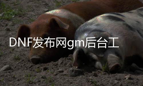 DNF发布网gm靠山东西怎么进去（DNF发布网内里的gm）